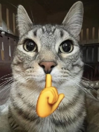 Mastering Magic Chess: Strategies and Gameplay Tips