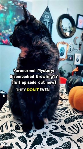 Growling sound from thin air, what caused it?? #paranormalstories