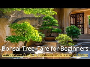 Japanese Bonsai Tree Styles Explained: Find the Perfect Look for Your Home