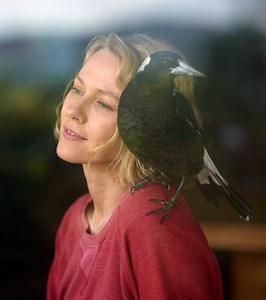 New on Streaming, DVD, Blu-ray and more January 25 to 30