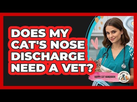 Does My Cat's Nose Discharge Need A Vet?