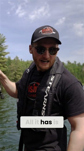 Muskie Attacks His Largemouth Bass #fishing #bassfishing #muskie #muskyfishing