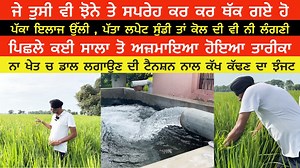 1.1K reactions · 125 shares | ਪੱਕਾ ਇਲਾਜ ਉੱਲੀ ਤੇ ਪੱਤਾ ਲਪੇਟ ਸੁੰਡੀ ਤਾਂ ਕੋਲ ਦੀ ਵੀ ਨੀ ਲੰਗਣੀ | Sukh Talk | Facebook