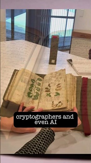 The Most Mysterious Book in the World