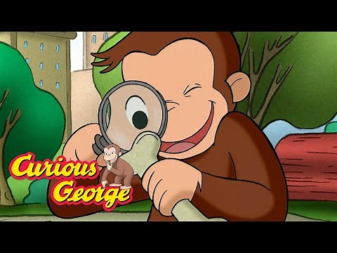 George Finds A Dinosaur Bone! 🐵 Curious George 🐵 Kids Cartoon 🐵 Kids Movies