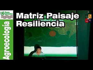 La importancia de la MATRIZ BIOLÓGICA 🌳🌱 del paisaje y la resiliencia