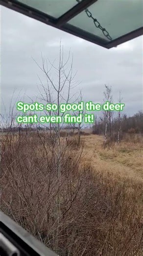 they can't find it#top10 #hunting #memes #deerhunting #huntinggame #funny