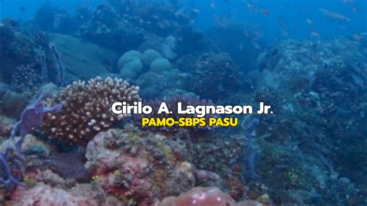 21K views · 609 reactions | 퐃퐄퐍퐑-ퟏퟐ 퐄퐧퐯퐢퐫퐨퐧퐦퐞퐧퐭 퐌퐨퐧퐭퐡 ퟐퟎퟐퟒ 퐀퐕퐏...