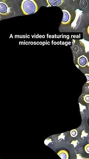 A Music Video Featuring Real Microscopic Footage