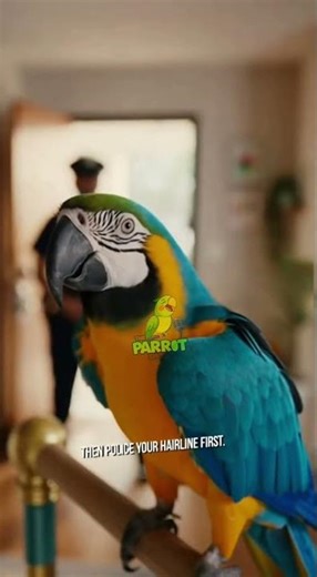 smart parrot vs cop bro 😂🦜