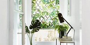 5 ways to bring biophilic design into your home