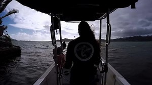 Scientists look at evolution to save coral reefs