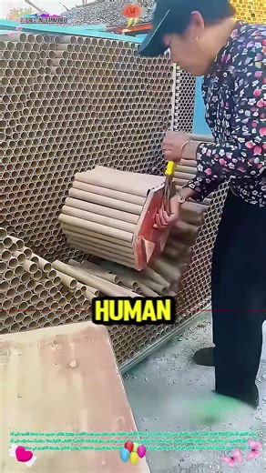 Unusual Friendships: The Weirdest Ways to Meet Best Friends