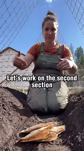 106K views · 2.4K reactions | How to plant microtuber potatoes in the...