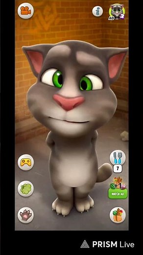 Cat is live catislive #funny #viral #kids #cat #viral #billi #isospeed