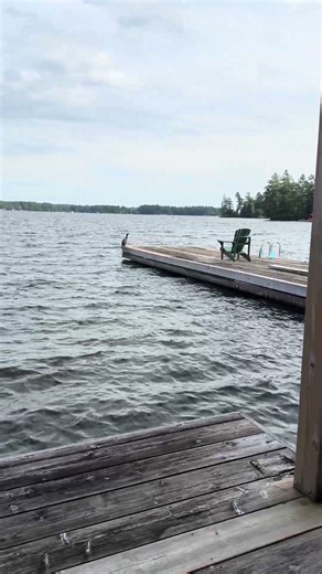 🌊 Waves on the Lake | Peaceful Water Sounds
