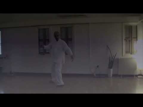 16 Step Form Yang Style