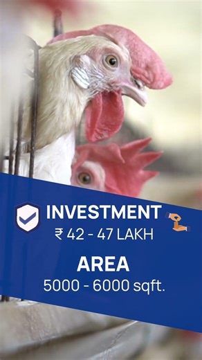 Top 5 Animal Husbandry Business Ideas in India 2026 #shorts #AnimalHusbandry