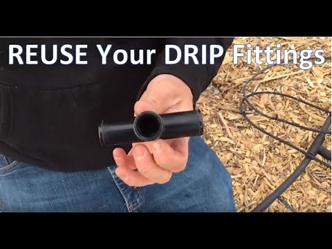 How to REMOVE drip line from Fittings and REUSE them. Plus 1st garden update.