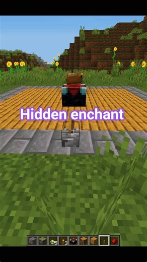 Minecraft Hidden Enchant 💀 #minecraft #minecraftshorts