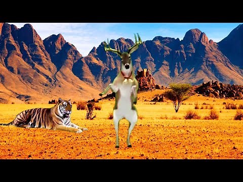 Canciones graciosas chistosas de risa que dan risa Musica graciosa para reir Musicas para reirse