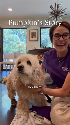 Meet Pumpkin, my handsome rescue dog! Since adopting him in 2020 he has brought filled many hearts with joy. His soft fur and cuddly personality have offered comfort to my parents and many patients and staff at @childrensla . He loves his time volunteering as a therapy dog. The calm and happiness he shares with is a joy to be a part of. I’m so proud and grateful to be able to share this gift with those in need. If you’d like to support this amazing cause, visit chla.org and donate to our dog the