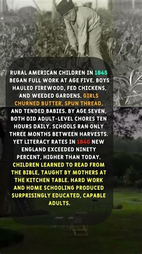 Why 1840s American Children Were Sent to Work at Age 5 Without Schools.