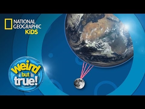 Space Oddities | Weird But True!