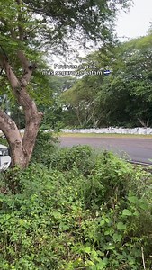 8.3K views · 10K reactions | El Salvador  | VT Cars | Facebook