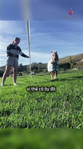 Cô gái nghĩ ra cách thiên tài để đánh lừa con ngựa 😯
