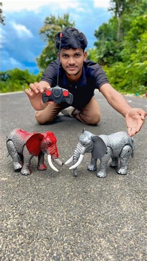 Remote control 2 Ta Elephant 🐘 Dakho 🥹