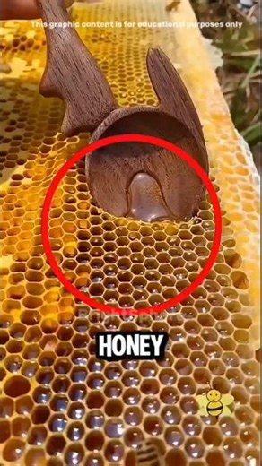 If You Ever Saw Honey Like This Up Close