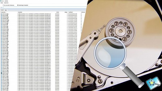 WizFile - Schnelle Windows-Suche