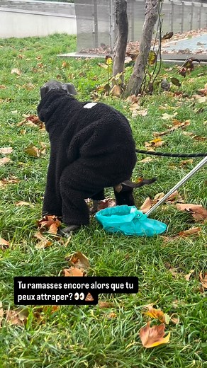 1K views · 833 reactions | Reserve your Swoop  swooplaunch.com #dog #dogproducts #petproducts | Swoop France | Facebook