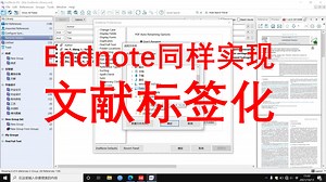 【技巧】Endnote也可以给文献加标签