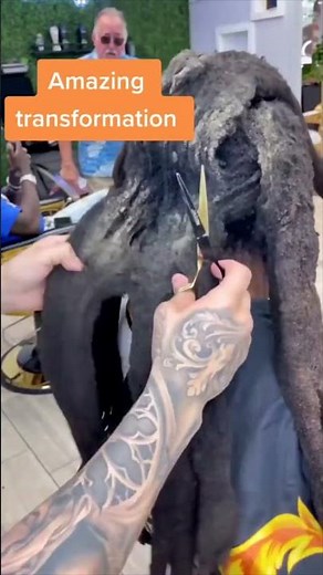Dreadlock Buildup #TSA #dreads #dreadstyles #dreadlocks #shorts