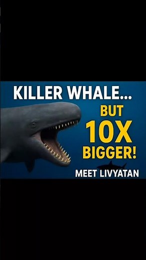 Livyatan: The Giant Prehistoric Whale That Hunted Other Whales #Livyatan #WhaleFacts #SeaMonster