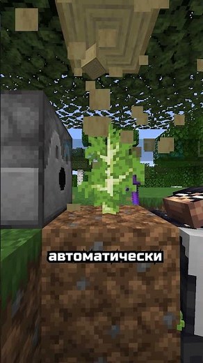 AFK tree farm, but how? #minecraftsurvival #minecraft #minecraftserver