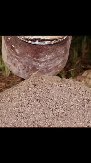 Fire Ant Colony Cast with Aluminum: A Fascinating Process Revealed