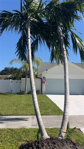 41 reactions |  One call transforms it all—and when you want the...