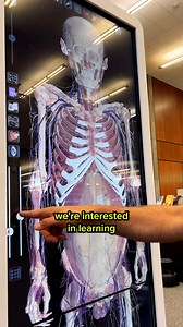 🔬 Meet the Anatomage Table - your gateway to exploring the human body like never before! This incredible touch-screen interface lets you dive into virtual human and animal cadavers, plus visualize CT, CBCT, and MRI scans. Think of it as a smartphone for anatomy - intuitive, interactive, and absolutely fascinating! ✨ Perfect for: - Students tackling anatomy assignments - Healthcare professionals enhancing clinical skills - Anyone curious about how our bodies work 📍 Available at Spencer S. Eccle