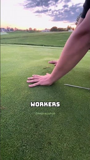 Secrets To Keeping Grass Green All Year!