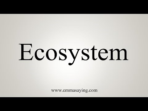 How To Say Ecosystem
