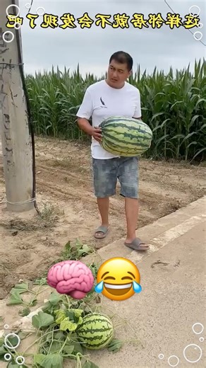 Instant Laugh 😂 Funny Short #trynottolaugh #hilariousfails