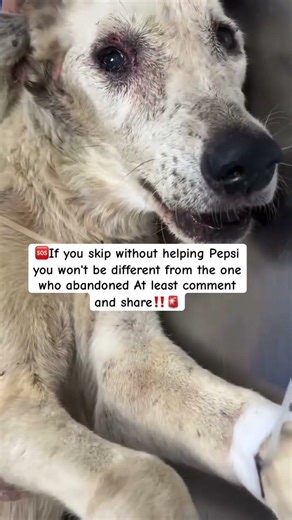 ON YOUR KINDNESS AND DONATIONS WILL HELP THIS INNOCENT SOUL GET A SECOND CHANCE OF LIFE