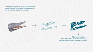 Paleontological-museum-brand-identity