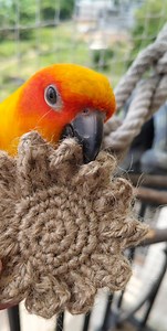 Parrot Toy Crochet Pattern – Jute Flower | 100% Natural Bird Toy (PDF Tutorial) - Etsy Australia