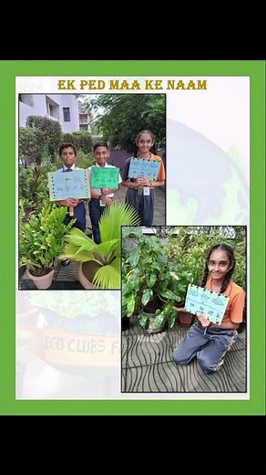 Eco Club Activities