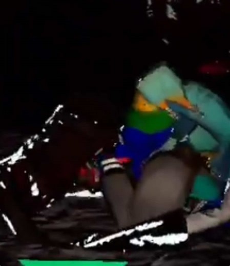 Mb got scared guys #funny #meme #viral #vr #animalcompany | Animal Memes