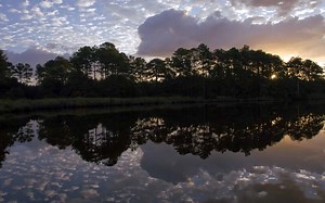 How Deep Is North Carolina's Legendary Neuse River?